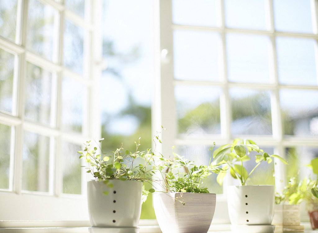 Top Tips for Improving Your Indoor Air Quality